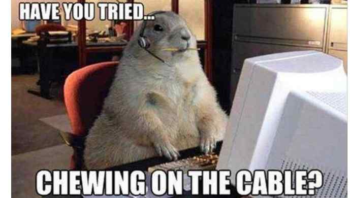rebooting didn't work