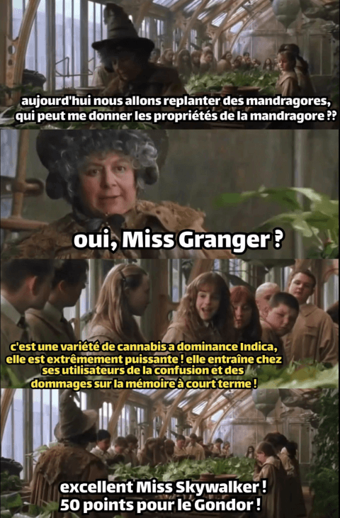 bravo l'équipe du gondor !