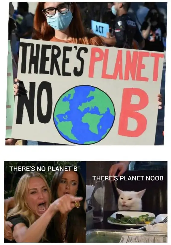 the cat is always right