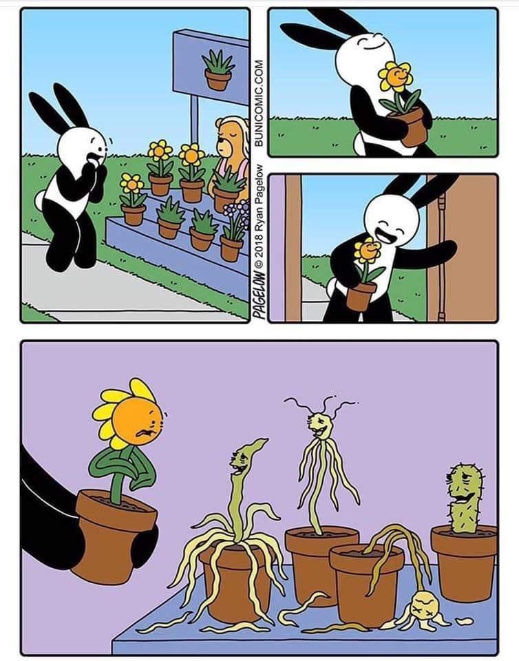 r/hydrohomies