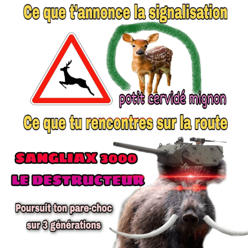 il fonce droit sur nous !