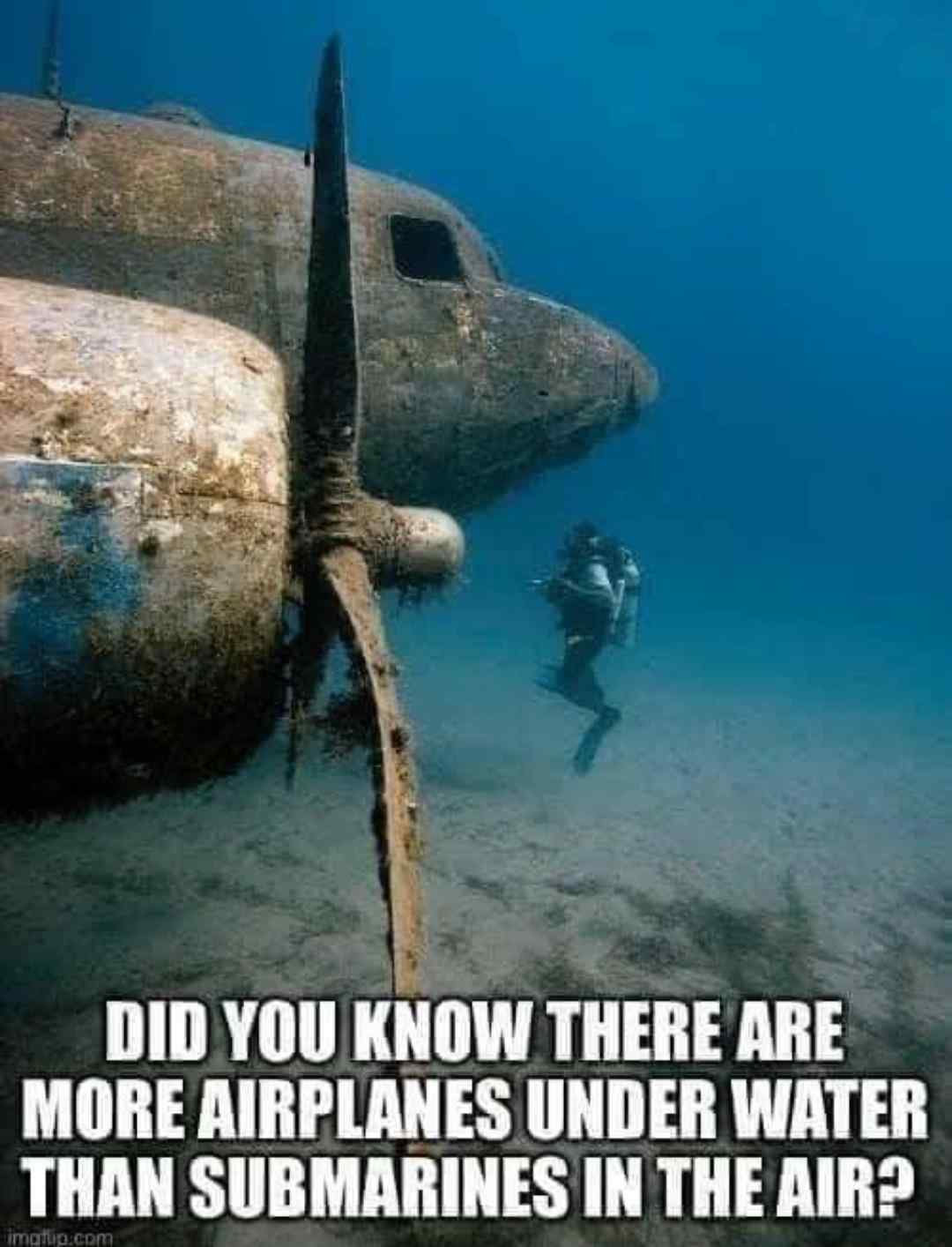 really makes ya think