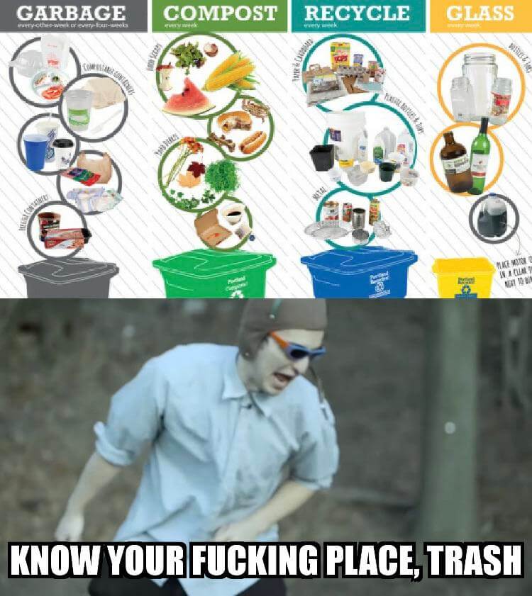 the rare educational meme